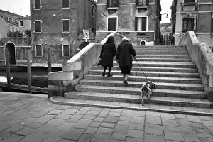 Two old women walk an old dog up the stone steps