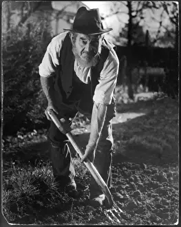 Yokel Prints: Old Yokel Gardener