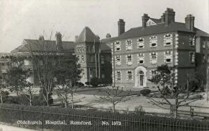 Hedge Collection: Oldchurch Hospital, Romford, Essex