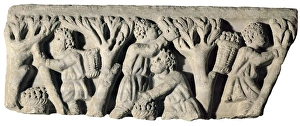 X7caf Me Collection: Olive harvest. Fragment of bas relief. Late 3rd