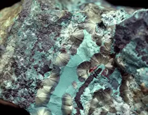 Hydrated Prints: Olivenite