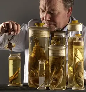 Oliver Crimmen with fish specimens