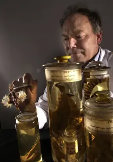 Spirit Jar Prints: Oliver Crimmen with fish specimens