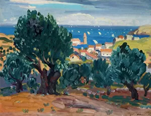 National Museums Northern Ireland Gallery: Olives at Collioure