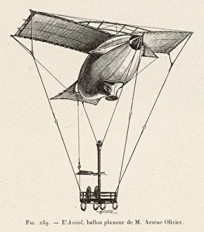OLIVIER'S AVISOL