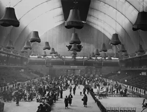 Olympia - L. K. A. Dog Show