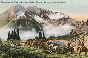 Trail Prints: Olympic National Park (southern end)