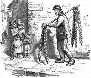 Images Dated 7th June 2018: ONIONS BY THE ROPE