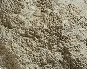 Oolitic limestone