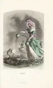 Crickets Prints: Opium poppy flower fairy, Papaver somniferum