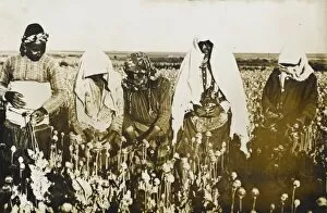 Opium Collection: Opium Poppy pickers - near Afyon, Turkey