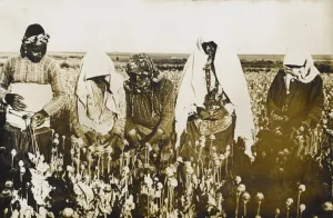 Drug Prints: Opium Poppy pickers - near Afyon, Turkey