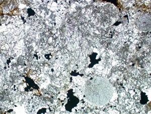 Optical microscope image of the Barwell (Type 6) chondrite Optical microscope image of the Barwell (Type 6) chondrite