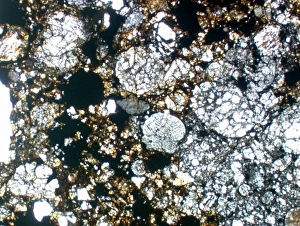 Optical microscope image of the Parnallee (Type 3) chondrite Optical microscope image of the Parnallee (Type 3) chondrite