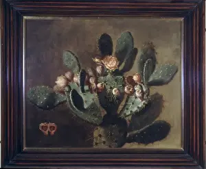 Spike Prints: Opunita fiscus-indica, prickly pear