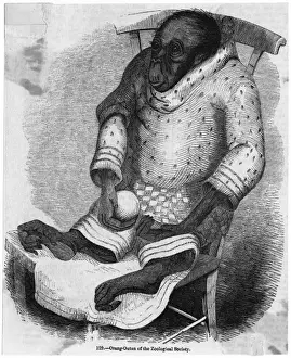 Inmate Prints: Orang-Utan Dressed