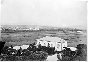Orange Grove, St. Michael, Azores 1873
