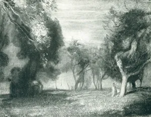 Mcevoy Prints: In The Orchard