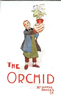 The Orchid by James T Tanner