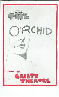 Monocle Prints: The Orchid by James T Tanner