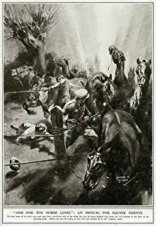 Explosions Prints: Ordeal for horses on the Western Front, 1917