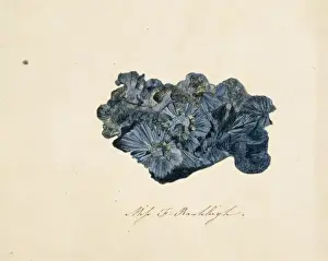 Crystalline Prints: Ore mineral