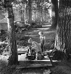 Oregon Prints: Oregon, Marion County, near West Stayton