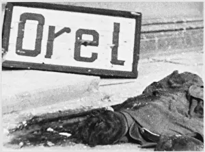 Liberated Prints: Orel Liberated