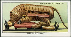 1799 Gallery: Organ - Tippoos Tiger