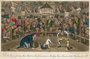 Shouting Prints: ORGANISED DOG FIGHTING