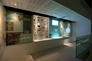 Organising Prints: Organising nature section in Cocoon