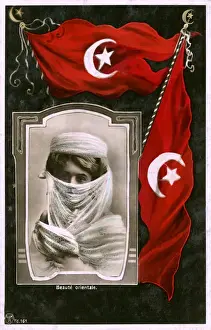 Crescent Prints: Oriental Beauty - Turkish Ottoman Flags