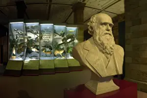 Origin of Species