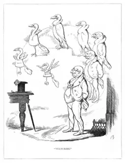 Darwin Gallery: Origin Species, CH Bennett, banker - vulture