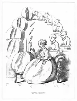 Provisions Prints: Origin Species, CH Bennett, husband hunter - mouse