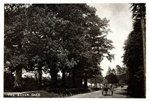 Sevenoaks Prints: The original Seven Oaks, Sevenoaks, Kent