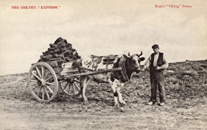 Gathering Peat