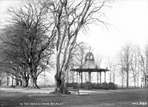 Antrim Collection: In the Ormeau Park, Belfast