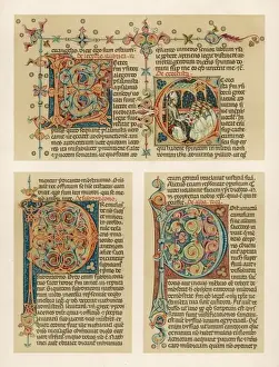 Ornamental Initials