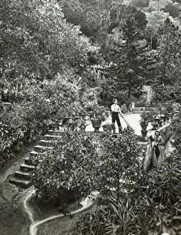 Ornamental Tank