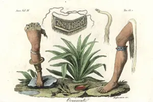 Antique Prints: Ornaments of the Island Carib or Kalinago people