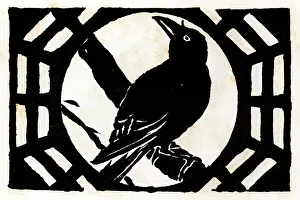 The Ornithologist of Cobbitty