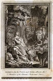 Images Dated 17th January 2019: ORPHEUS AND THE BEASTS