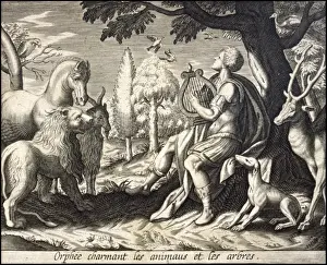 Charms Prints: Orpheus Charms Animals