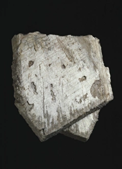Aluminium Gallery: Orthoclase