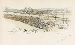Gorse Prints: Orton Gorse, Atherstone Hunt area, Warwickshire