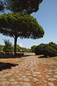 Latium Collection: Ostia Antica. The Decumanus Maximus. Detail of the paving