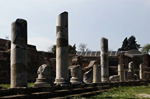 Antica Gallery: Ostia Antica. Forum