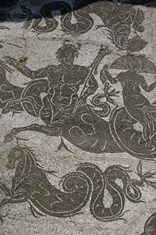 Ostia Antica. Mosaic of Baths of Buticosus