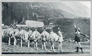 Leap Prints: An ostrich farm in South Africa, Hoffman Girls at Hippodrome